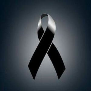 Meet your Posher, Luis